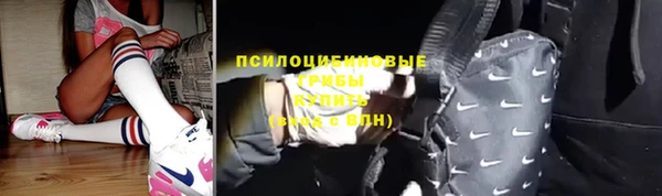 крисы Алексеевка