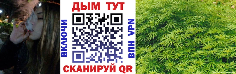 Шишки марихуана индика  площадка клад  Краснообск  купить наркотики сайты 